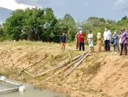 Dinas Perikanan Tanah Bumbu Kalsel Rintis Budidaya Ikan Gabus.