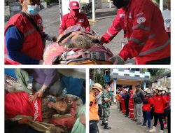 Sempat Di Laporkan Orang Hilang Nenek Berusia 87 Tahun Di Ketemukan