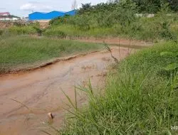 Diduga Buruknya Sistem IPAL di Lingkungan, Proyek Pembangunan PLTU Sumsel 1, Membuat Ekosistem Biota Air Sungai Pauh Tercemar