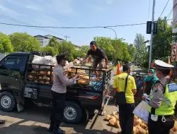 Gandeng Instansi Terkait, Ini Upaya Polres Ngawi, Atasi Pandemi Jadi Endemi