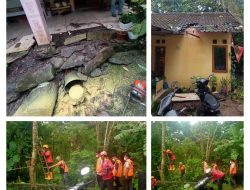 Dua Hari Kota Magelang Di Guyur Hujan Lebat Disertai Angin Kencang Puluhan Pohon Tumbang