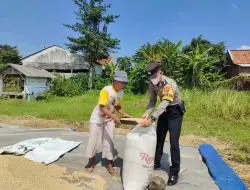 Bhabinkamtibmas Banjar Bantu Warga Jemur Padi dan Edukasi Vaksin