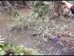 Lagi Kebun Warga Kebajiran, PLTU GHEMMI Kembali di Komplain !! Diduga Pendangkalan dan Penutupan Anak Sungai Emberang
