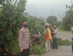 Polsek Ujungjaya Evakuasi Pohon Tumbang