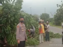 Polsek Ujungjaya Evakuasi Pohon Tumbang