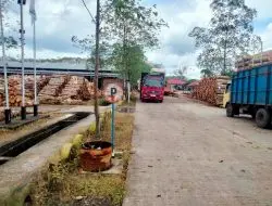 Karyawan PT SGS Mengalami Kecelakaan Kerja Diduga Jari Tangan Gepeng, Kuku Lepas dan Tulang Retak
