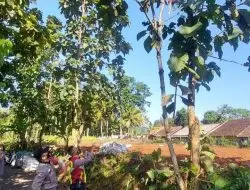 Seorang Petani Tewas Tersengat Listrik di Sumedang