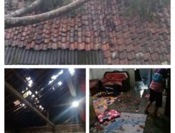 Akibat Hujan Deras dan angin kencang Satu Rumah warga Tertimpa pohon.