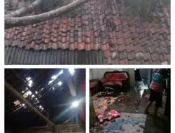 Akibat Hujan Deras dan angin kencang Satu Rumah warga Tertimpa pohon.