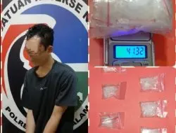 Kasat Narkoba Berhasil Tangkap Pengedar Narkoba Dengan BB 41,32 Gram
