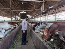 Antisipasi PMK, Bhabinkamtibmas Polsek Ligung Cek Kandang Hewan Peternak