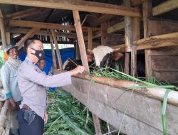 Cek Kandang Ternak, Kanit Binmas Polsek Maja Berikan Himbauan