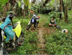 Cegah Kawanan Harimau Masuk Perkampungan, Gunakan Trail Warga Berjaga di Perbatasan Hutan.