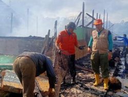 Si Jago Merah Lalap SD Negeri 41 Kota Pagar Alam