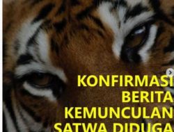 Diduga Harimau di Banjarnegara! Ini Konfirmasi BKSDA Jawa Tengah 