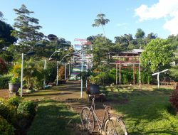 Boyolali Punya Tempat Wisata Baru SITINGGIL GARDEN di Desa Kembang Kuning, Cepogo.