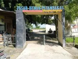 Besok, Pasar Hewan Banjarnegara Kembali Dibuka