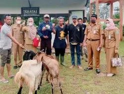 Dinas Tranmigrasi Tanbu dan Prov.Kalsel adakan Pelatihan Budidaya ternak Kambing di Kec.Angsana