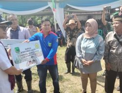 Bupati Panen Raya Jagung dan Berikan Bantuan Alsintan Di Kecamatan Paiker