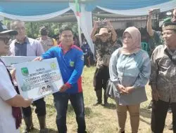 Bupati Panen Raya Jagung dan Berikan Bantuan Alsintan Di Kecamatan Paiker