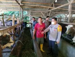 Jelang Qurban, Polisi di Cigasong Cek Kandang Hewan Ternak