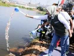 Bupati Purwakarta Ajak Warga Dan Korporasi Berperan Tanggulangi Lahan Kritis