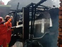 Sijago Merah Mengamuk Warga Pasar Prabumulih Kocar Kacir