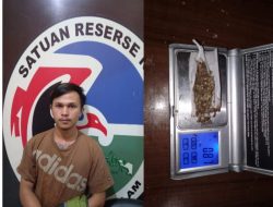 Satres Narkoba Polres Pagar Alam Berhasil Menciduk Seorang Pemuja Daun Ganja