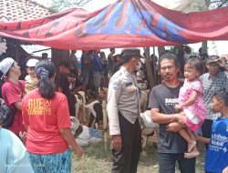 Bhabinkantibmas Polsek Jatiwangi Menghadiri Acara Pentas seni Adu domba