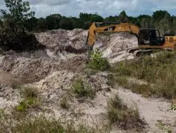 KAWASAN HUTAN DI HANTAM ALAT BERAT UNTUK ALASAN PROYEK.