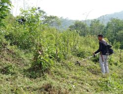 Pengelolan Tanah TPU di Desa Cirama Hilir Maniis Agar Lebih Berdaya Guna Bagi Masyarakat