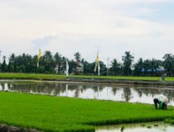 Dinas Pangan dan Pertanian Tanbu tunggu Proses Pembangunan Bendungan Kusan