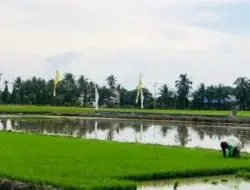 Dinas Pangan dan Pertanian Tanbu tunggu Proses Pembangunan Bendungan Kusan