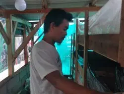 Warga Sindanggalih Sukses Budidaya Magot Dengan Omset Puluhan Juta Rupiah.