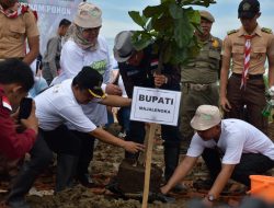 Bupati Majalengka lakukan Penanaman Pohon Serentak,  26.134 Pohon disebar di 26 Kecamatan