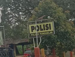 Suyitno Sebagai Korban Dugaan Penipuan Akhirnya Bikin LP Ke Polsek Punggelan