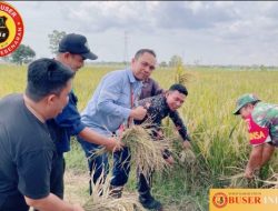 PT.Arutmin Indonesia Site Satui Bantu Petani Pengolahan Sawah dan Pupuk