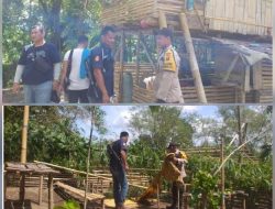 Polsek Ulu Musi Bongkar Lokasi Judi Sabung Ayam