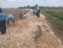 Proyek JUT Desa Tanjungsari 165 Juta Diduga Dikerjakan Asal Jadi