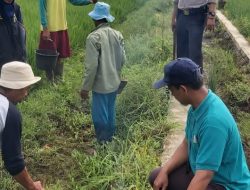 Bhabinkamtibmas  Bojongkantong Moro Tikus