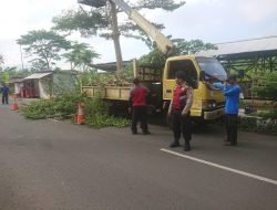 Antisipasi Hujan Lebat di Sertai Angin Kencang Pohon Rindang Dipangkas sepanjang Jln. Mayjen Didi Kartasasmita Kota Banjar