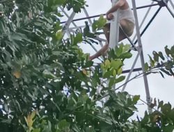 Polsek Pamulihan Gagalkan Seorang Pria Yang Mencoba Bunuh Diri Dari Tower Sutet