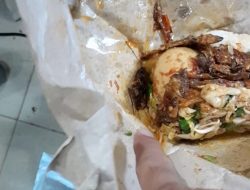 Pasien Rumah Sakit Plumbon Keluhkan Makanan Yang Ada Kecoa di Nasi Rames