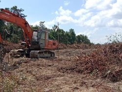 Alat Berat Jenis Excavator Sodok Kawasan Hutan Lindung