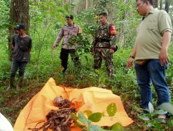 Polres Sumedang Selidiki Temuan Kerangka Manusia Di Hutan Cirandeg Desa Citengah