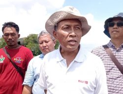 PT Bisi internasional Siap Budidaya Benih Jagung 3000 Hektar Di Blora