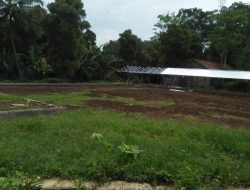 Pembangunan Pasar Hewan Desa Darmalarang di Soal Warganya