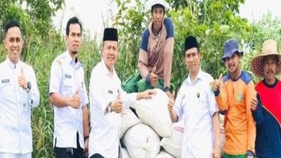 Dampak El Nino Dinas Ketahanan Pangan dan Pertanian Tanah Bumbu Pantau Proses Panen Padi.