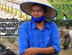 Harga Beras Di Aceh Barat Mencapai 200 Ribu