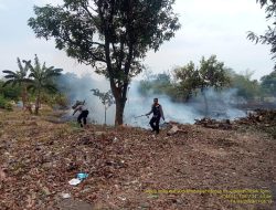 Polsek Tomo Bersama – Sama Warga Berhasil Padamkan Api yang Melanda Lahan Perhutani